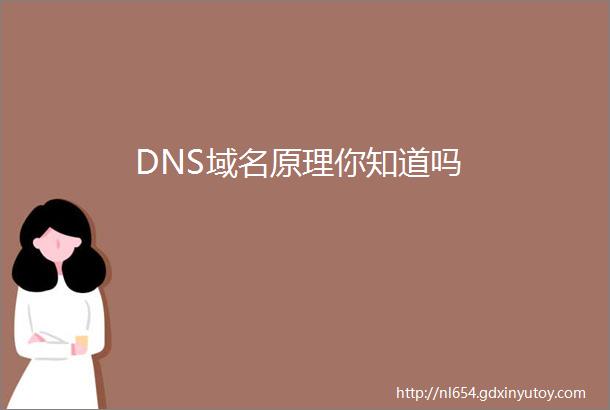 DNS域名原理你知道吗