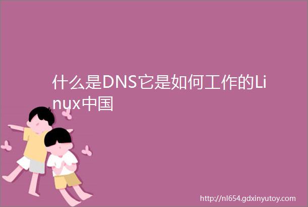 什么是DNS它是如何工作的Linux中国