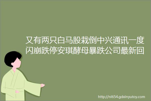 又有两只白马股栽倒中兴通讯一度闪崩跌停安琪酵母暴跌公司最新回应来了